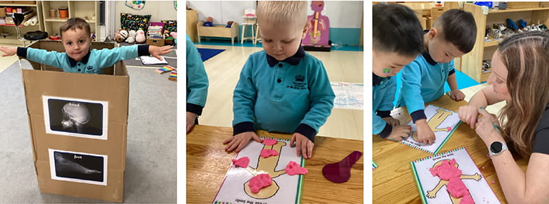 Amazing Body Adventures in Tadpoles and Pre-Nursery | BSB Sanlitun - Amazing Body Adventures in Pre-Nursery