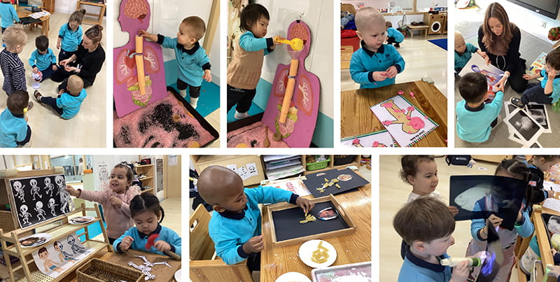 Amazing Body Adventures in Tadpoles and Pre-Nursery | BSB Sanlitun - Amazing Body Adventures in Pre-Nursery