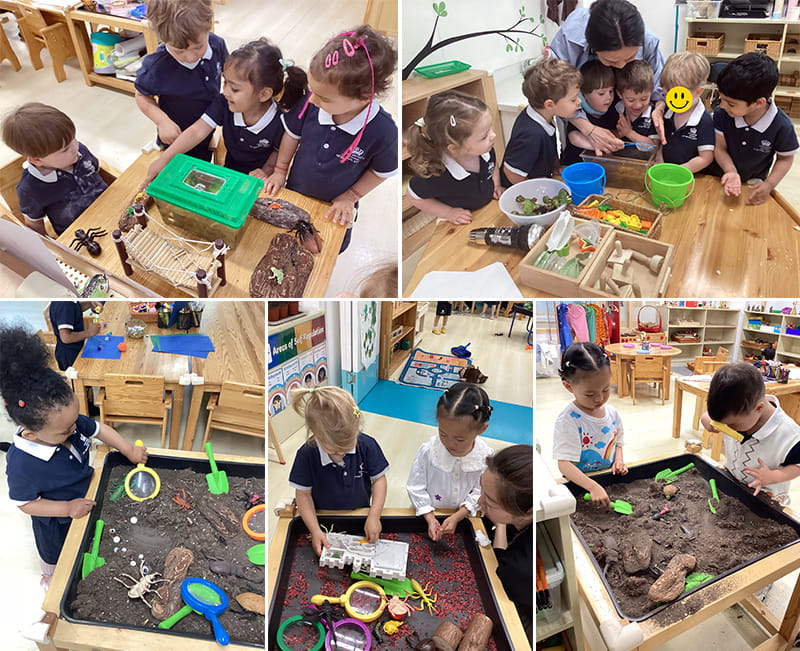 It's Springtime in Pre-Nursery | BSB Sanlitun - Springtime in Pre-Nursery
