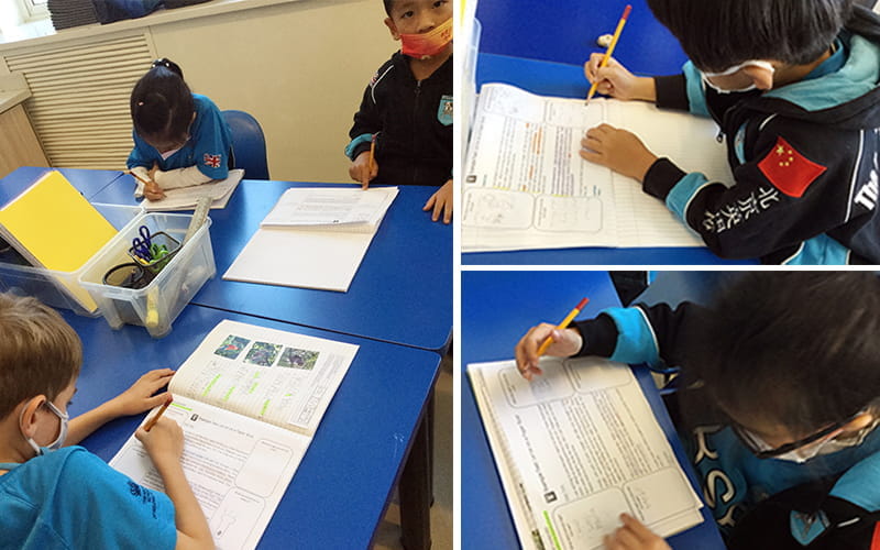 Amazingly articulate letters! | BSB Sanlitun - Amazingly articulate letters