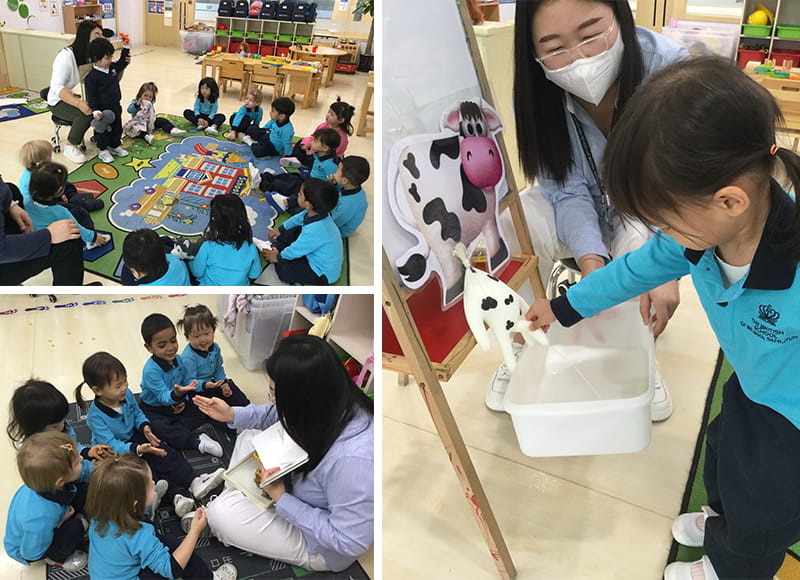 An amazing week learning about animals! | BSB Sanlitun - An amazing week learning about animals