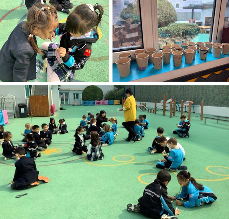 Planting the Seed | BSB Sanlitun - Planting the Seed