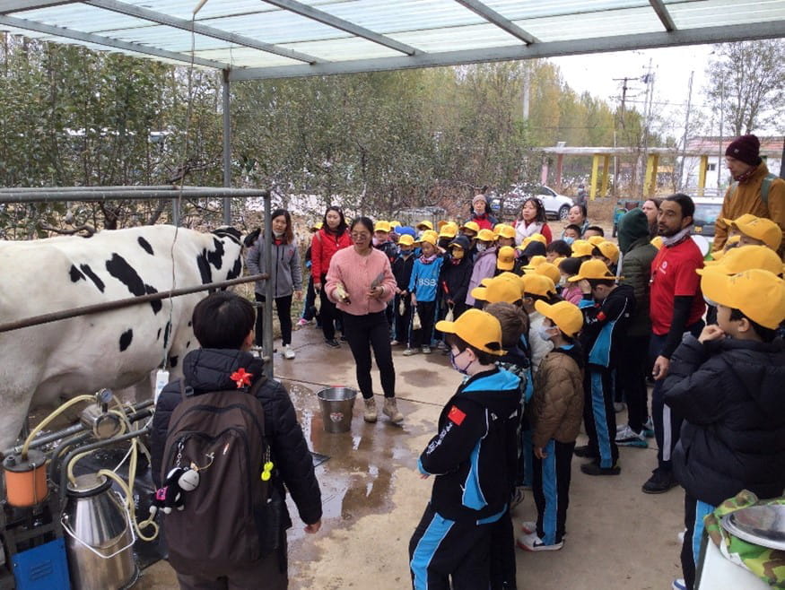 The British School of Beijing, Sanlitun BSB Sanlitun Nord Anglia