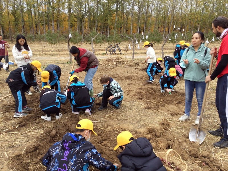 Fun on the farm for Year 4 | BSB Sanlitun - Fun on the farm for Year 4