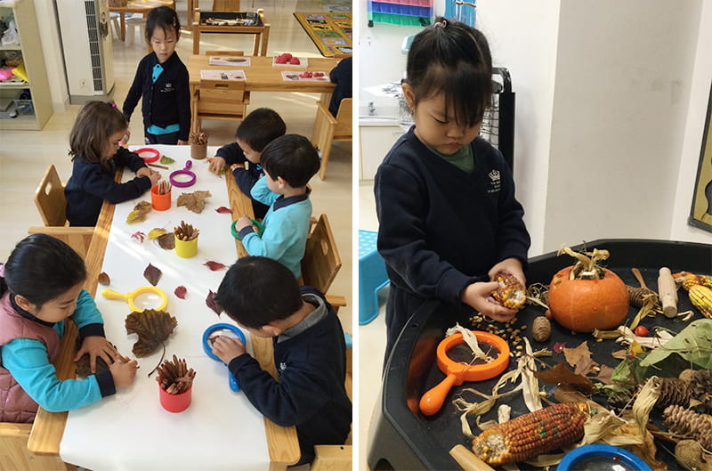 Nursery have fallen into Autumn | BSB Sanlitun - Nursery have fallen into Autumn