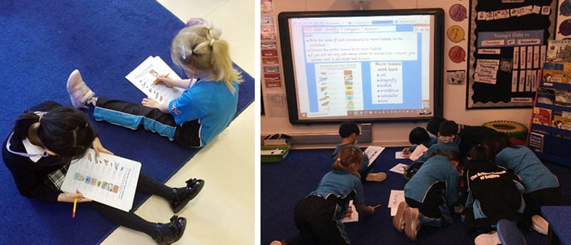 Being Ambitious in Year 2 Topic: Critical Thinkers | BSB Sanlitun - Critical Thinkers