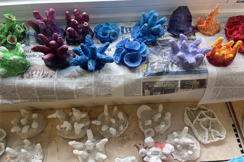 Year 6 Coral Artists | BSB Sanlitun - Year 6 Coral Artists