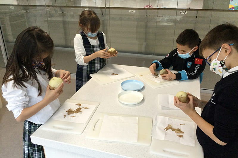 Kartoffelsalat | BSB Sanlitun - Kartoffelsalat