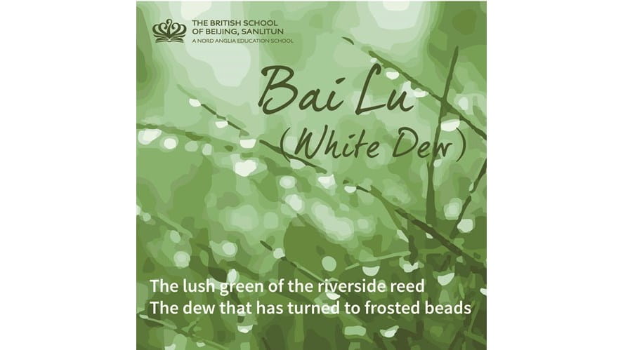 bai lu01