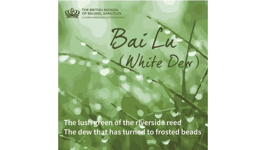 Bai Lu (White Dew)-bai-lu-white-dew-bai lu01