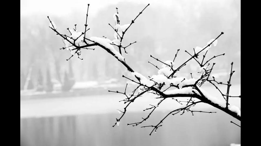 Chinese Solar Term - Dong Zhi - chinese-solar-term--dong-zhi