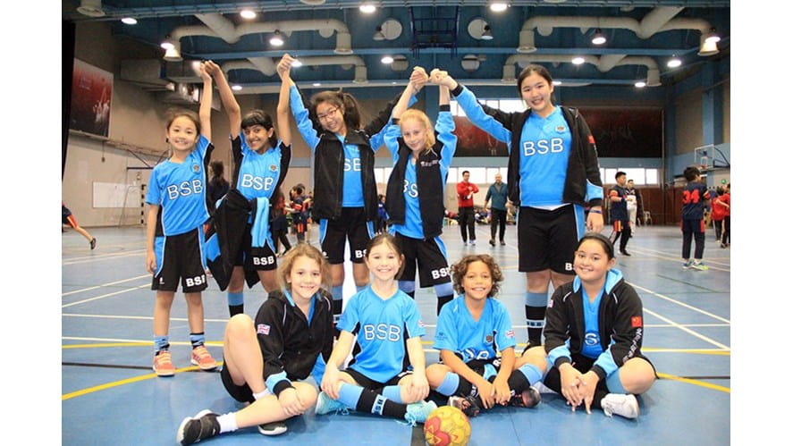 Handball Success! - handball-success