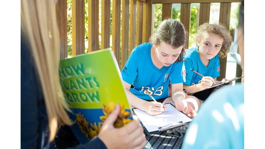 Six must-have features of outstanding schools - six-must-have-features-of-outstanding-schools