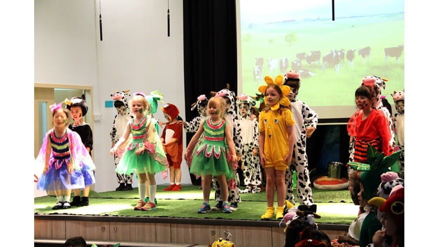 There’s A Sunflower In My Supper - theres-a-sunflower-in-my-supper