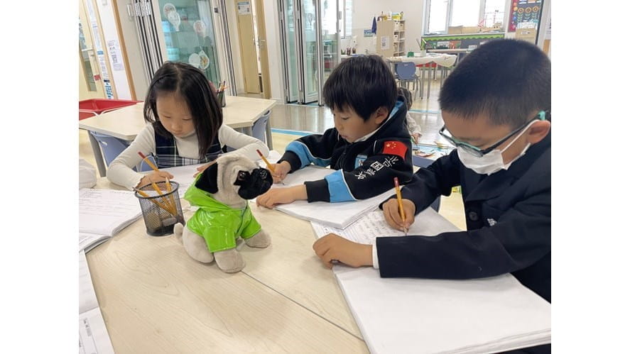 Three Little Pugs in Year 1 Tigers - three-little-pugs-in-year-1-tigers