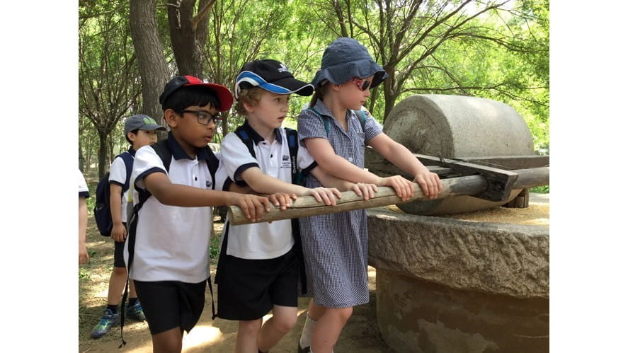 Year 2 trip to Green Cow farm - year-2-trip-to-green-cow-farm