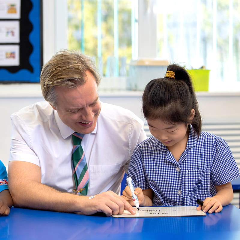 Meet Our Teachers | BSB Sanlitun - Feature Cards Tabs