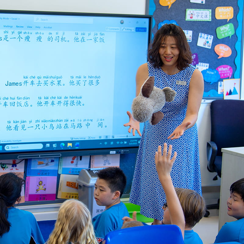 Our Staff & How We Teach | BSB Sanlitun - Feature Cards Tabs