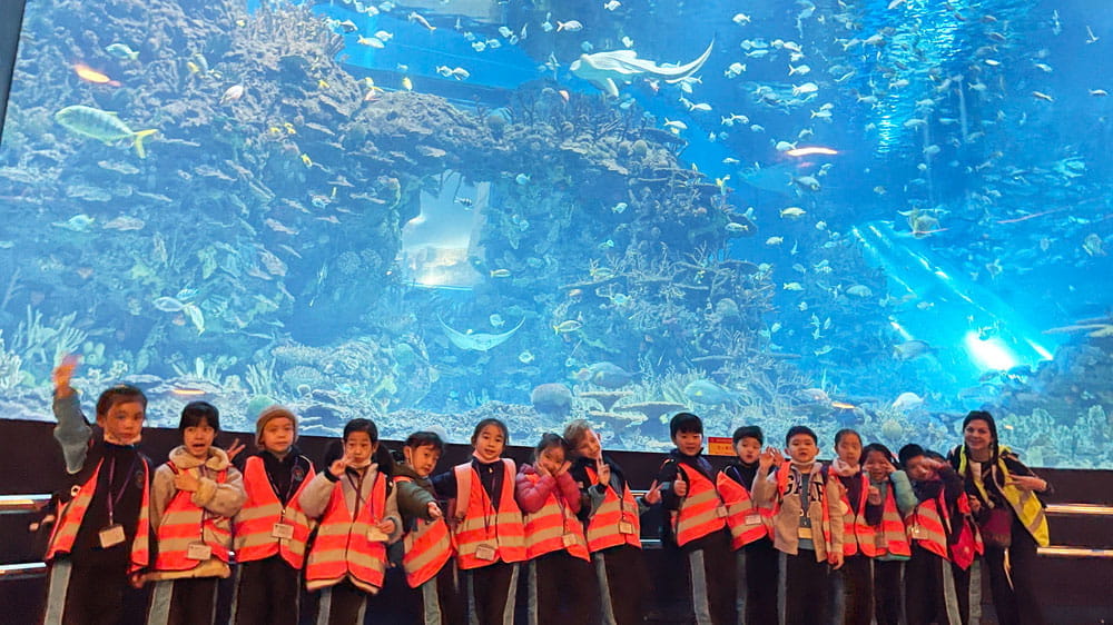Year 2 EdTech Integrated Learning - Under the Sea! - Year 2 EdTech Integrated Learning Under the Sea