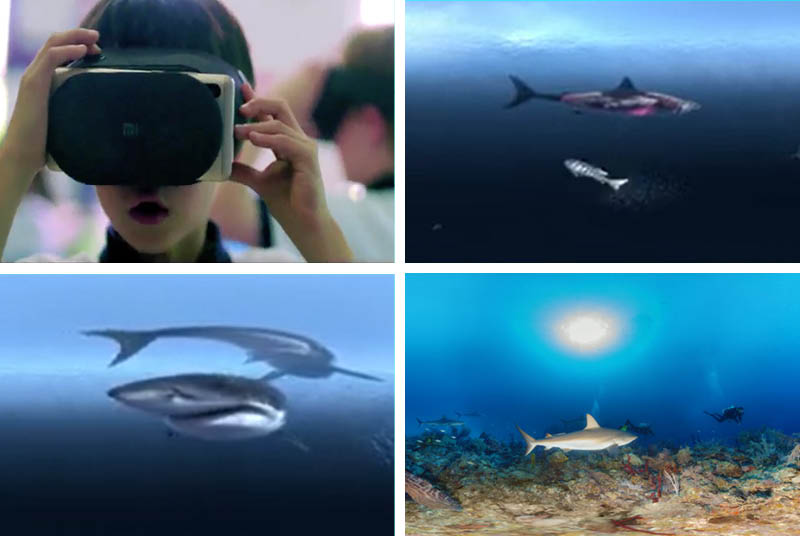 Year 2 EdTech Integrated Learning - Under the Sea! - Year 2 EdTech Integrated Learning Under the Sea