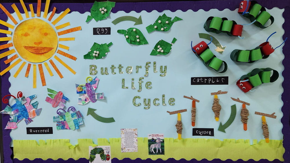 Reception Butterflies Frogs and Snails - Reception Butterflies Frogs and Snails