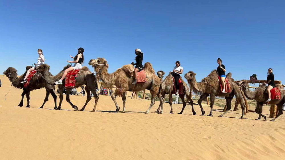 Year 10 Residential Update from Inner Mongolia 2023 - Year 10 Residential Update from Inner Mongolia 2023