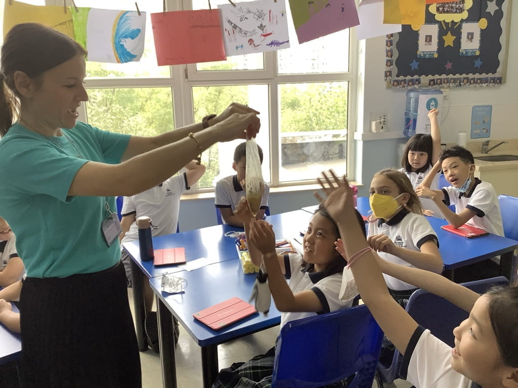 Year 4 Science Unit - Digestive System - Year 4 Science Unit - Digestive System