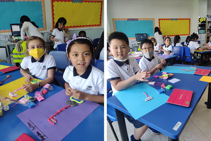 Year 4 Science Unit - Digestive System - Year 4 Science Unit - Digestive System