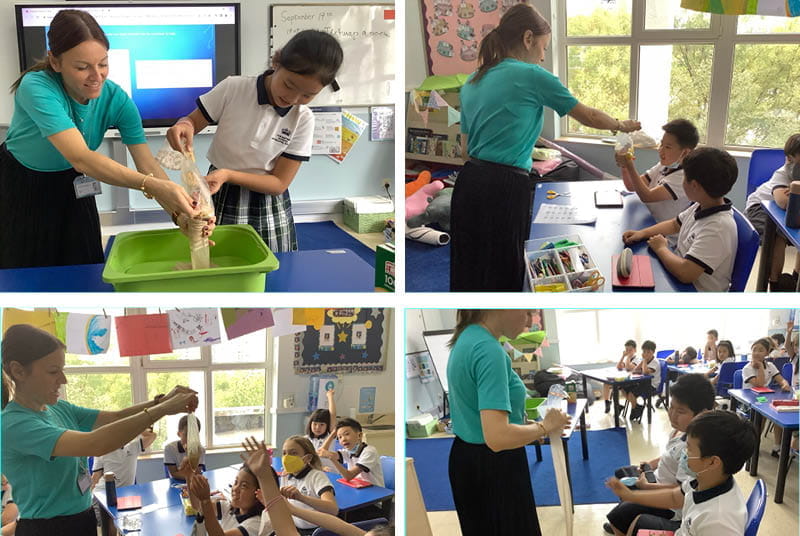 Year 4 Science Unit - Digestive System - Year 4 Science Unit - Digestive System