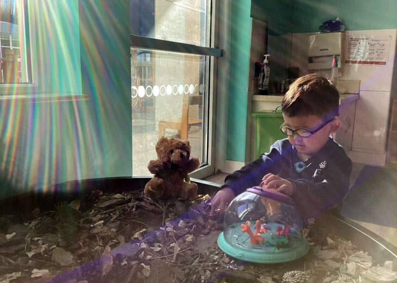November in Nursery - November in Nursery