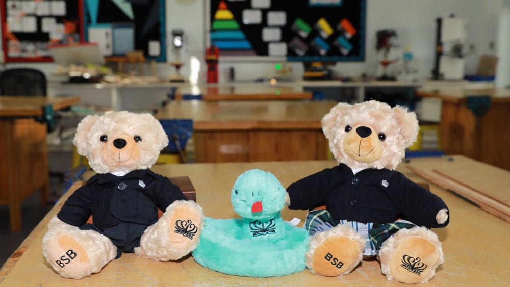 BSB Shunyi welcomes Lingling A Journey of Learning with NAE - BSB Shunyi welcomes Lingling A Journey of Learning with NAE