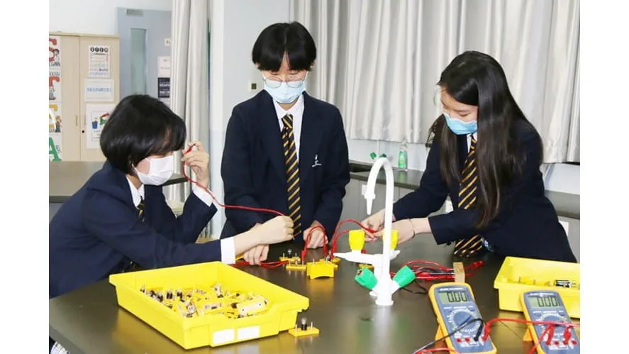 科学月度之星-Elise Fornaro - science-student-of-the-month-elise-fornaro