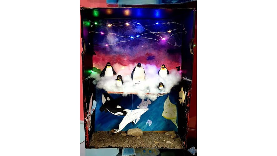 Y9 Science Projects - Ecosystem in a Shoebox-y9-science-projects--ecosystem-in-a-shoebox-Y9 Science 1 polar model