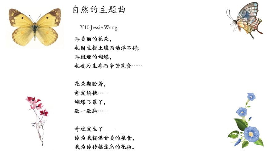 Y10 Jessie Wang poem