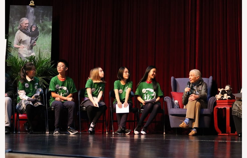 Social Purpose | The British School of Beijing, Shunyi - Image-50-50