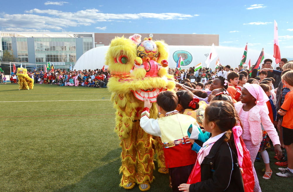 Important International Day Information - Important International Day Information