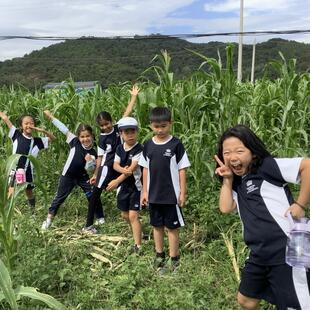 精彩的课外活动 | 广州英国学校 - 07 - Feature Cards Pattern - Expeditions