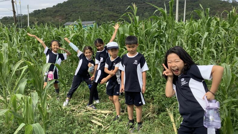 精彩的课外活动 | 广州英国学校 - 07 - Feature Cards Pattern - Expeditions