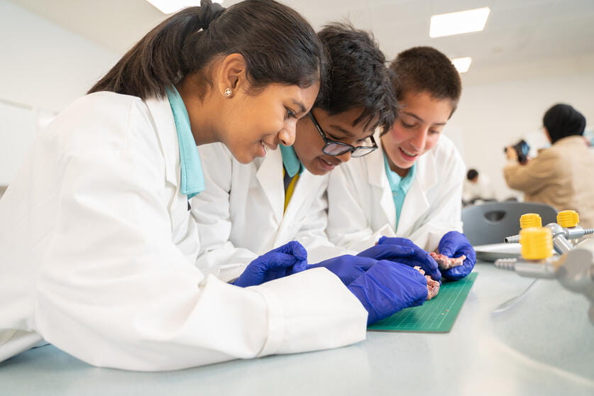 南湖校区|广州英国人学校 - 06 - Promo With Collage