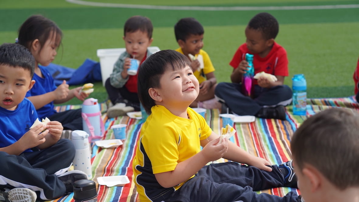 The Tiger Who Came to Tea Picnic - The Tiger Who Came to Tea picnic