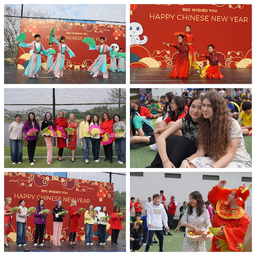 Farewell Year of the Dragon, Welcome Year of the Snake! - CNY