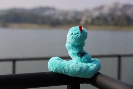 Take Lingling on a Global Adventure This Chinese New Year! - Lingling