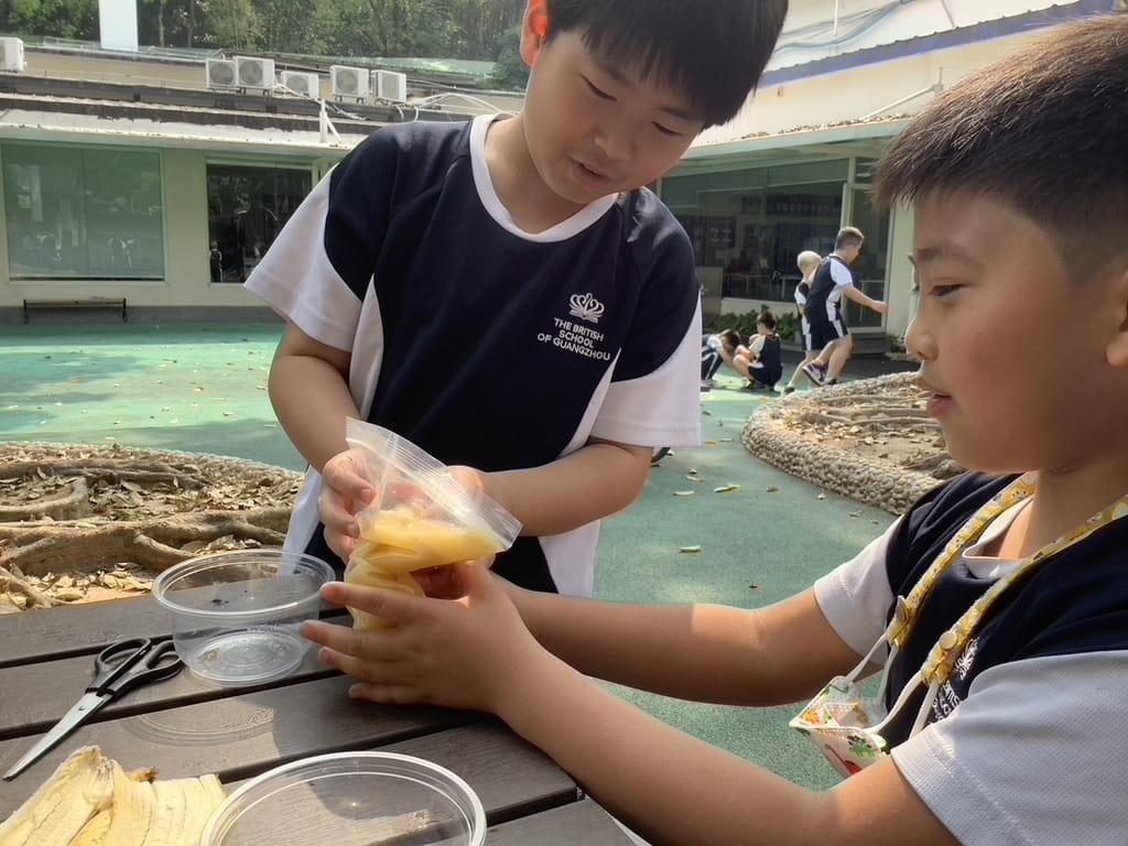 Year 4 Get Dirty with the Digestive System - Year 4 Get Dirty with the Digestive System