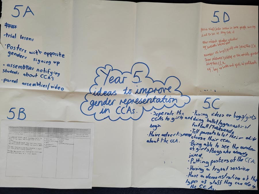 Equity Diversity and Inclusion in Primary