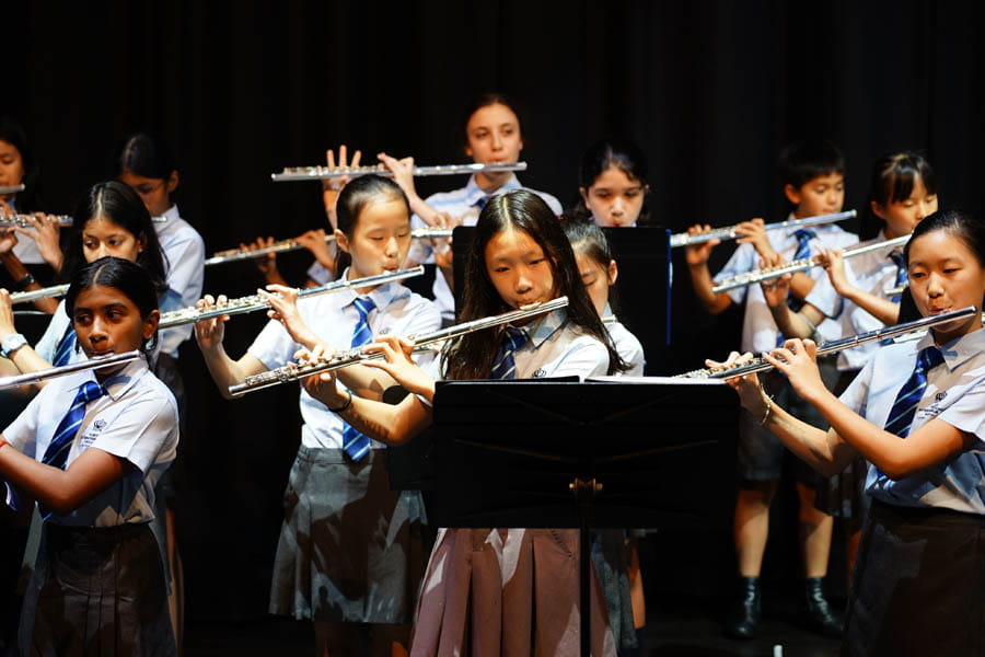 Young Musician of the Year and PIPS Concert - Carousel For News Detail