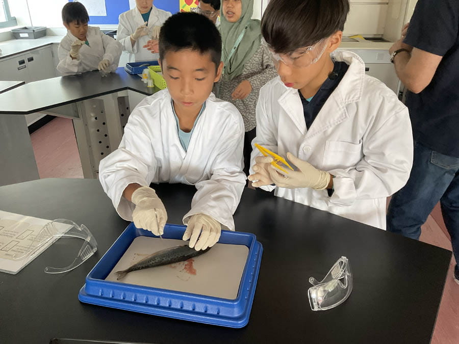 Highlights from the Year 6 Transition Days - Carousel For News Detail