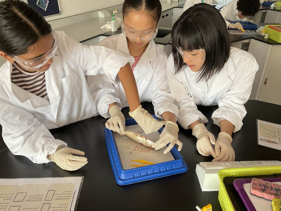 Highlights from the Year 6 Transition Days - Carousel For News Detail