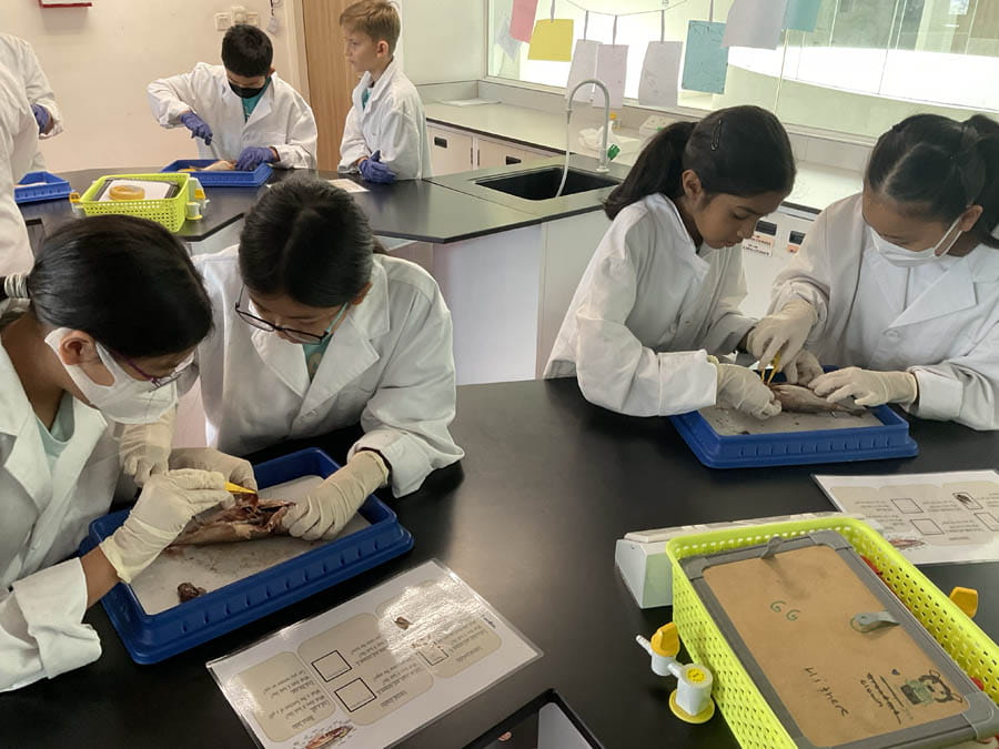 Highlights from the Year 6 Transition Days - Carousel For News Detail