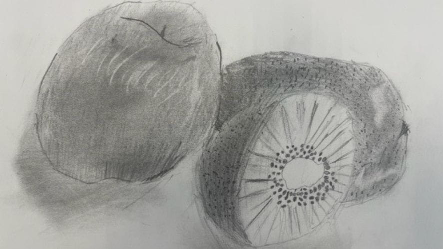 Primary Art Facilities - Carousel For News Detail