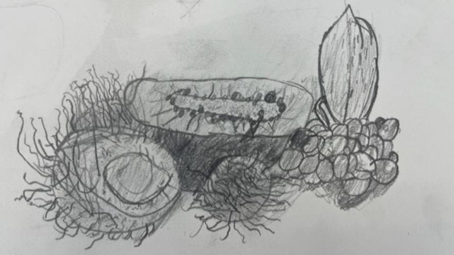 Primary Art Facilities - Carousel For News Detail